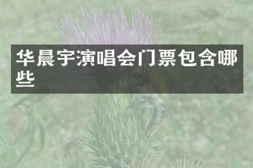 华晨宇演唱会门票包含哪些
