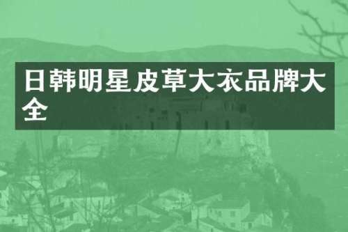 日韩明星皮草大衣品牌大全