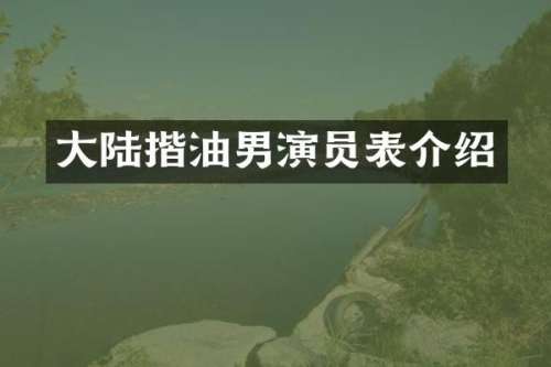 大陆揩油男演员表介绍