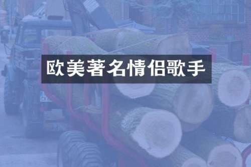 欧美著名情侣歌手