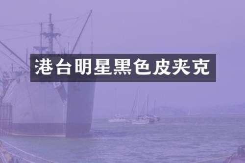 港台明星黑色皮夹克