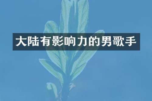大陆有影响力的男歌手