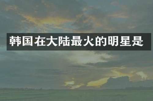韩国在大陆最火的明星是