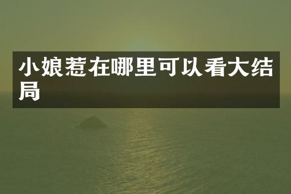 小娘惹在哪里可以看大结局