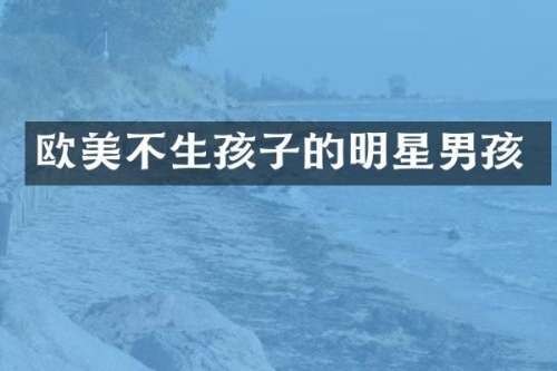 欧美不生孩子的明星男孩