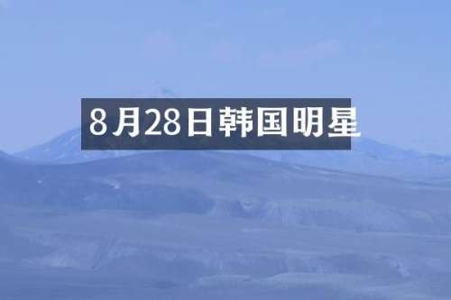 8月28日韩国明星