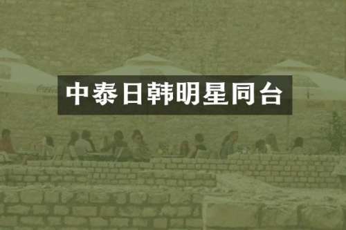 中泰日韩明星同台