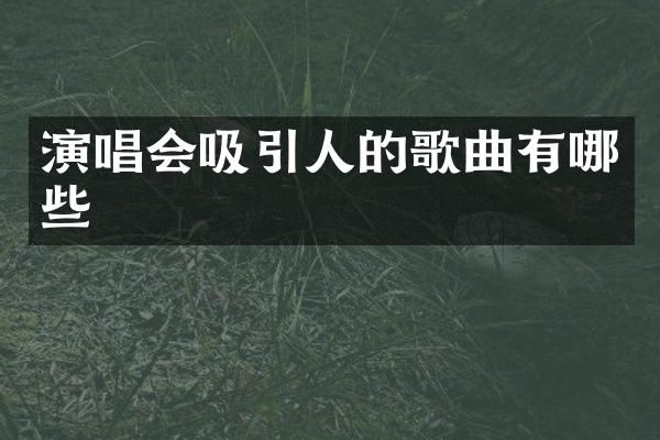 演唱会吸引人的歌曲有哪些