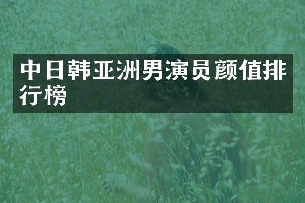 中日韩亚洲男演员颜值排行榜
