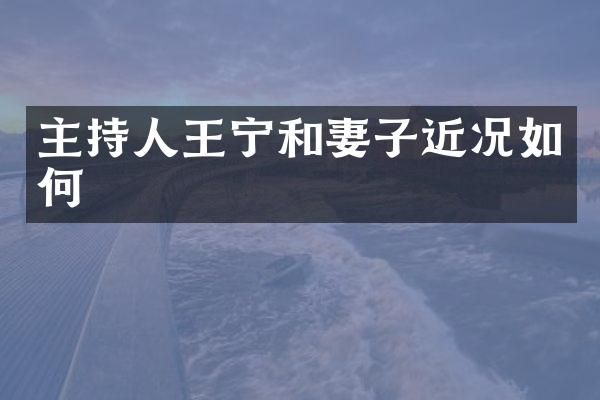 主持人王宁和妻子近况如何