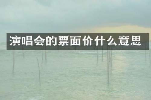 演唱会的票面价什么意思