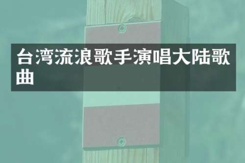 台湾流浪歌手演唱大陆歌曲