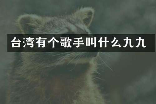台湾有个歌手叫什么九九