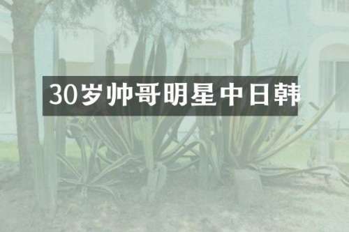 30岁帅哥明星中日韩