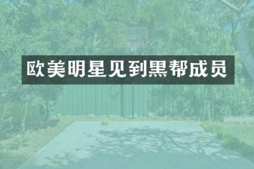 欧美明星见到黑帮成员