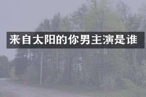 来自太阳的你男主演是谁