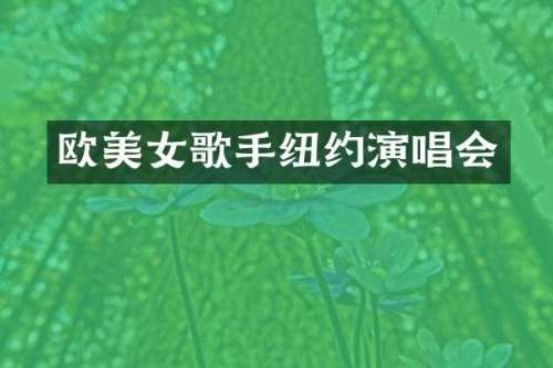 欧歌手纽约演唱会