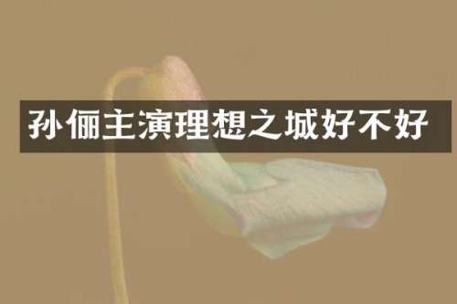 孙俪主演理想之城好不好
