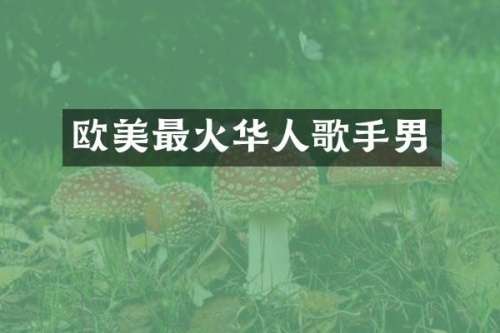欧美最火华人歌手男