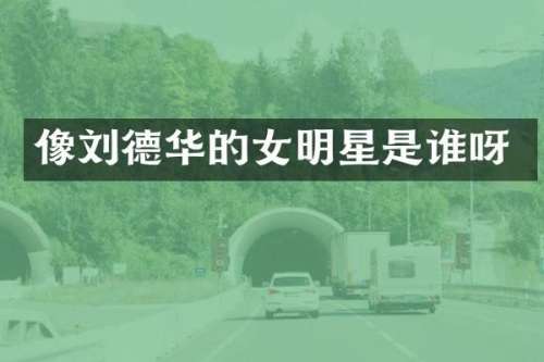 像刘德华的女明星是谁呀