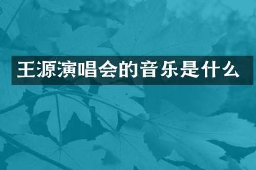 王源演唱会的音乐是什么