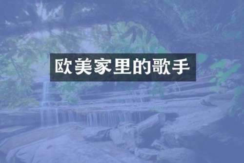 欧美家里的歌手