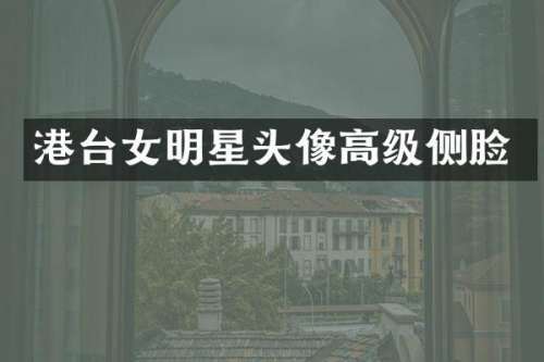 港台女明星头像高级侧脸
