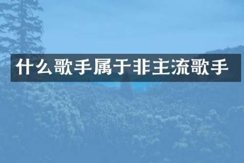 什么歌手属于非主流歌手