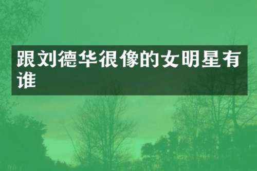 跟刘德华很像的女明星有谁