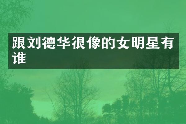 跟刘德华很像的女明星有谁