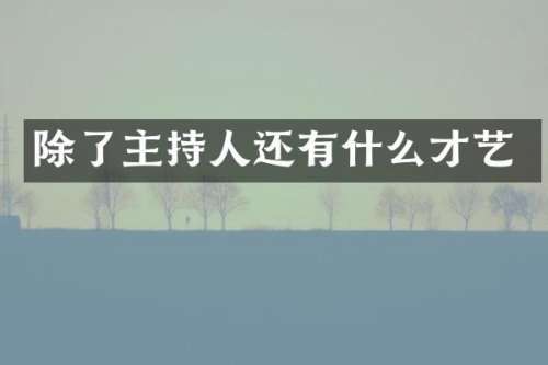 除了主持人还有什么才艺
