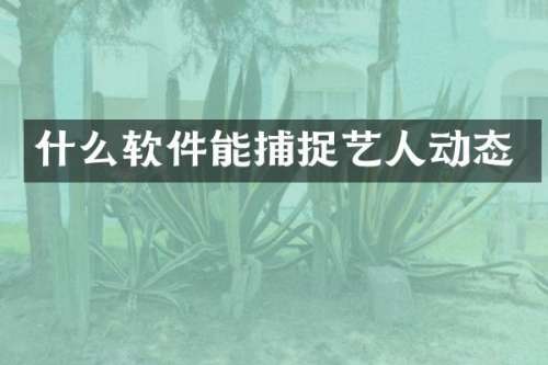什么软件能捕捉艺人动态