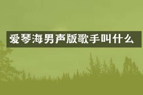 爱琴海男声版歌手叫什么