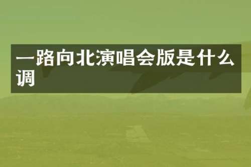 一路向北演唱会版是什么调