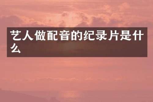 艺人做配音的纪录片是什么