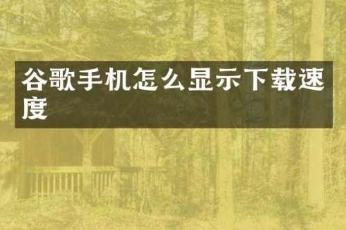 谷歌手机怎么显示下载速度