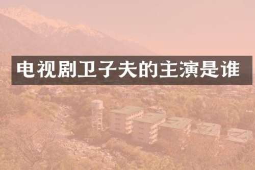 电视剧卫子夫的主演是谁