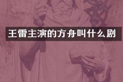 王雷主演的方舟叫什么剧