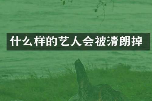 什么样的艺人会被清朗掉