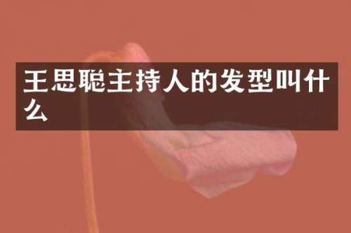 王思聪主持人的发型叫什么