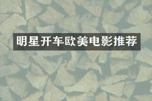 明星开车欧美电影推荐