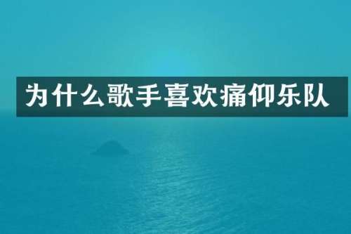 为什么歌手喜欢痛仰乐队