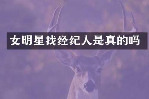 女明星找经纪人是真的吗
