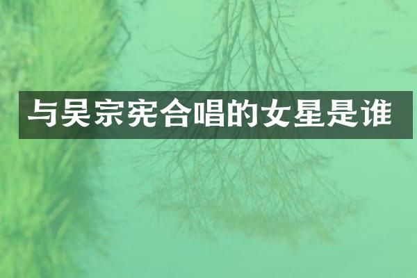 与吴宗宪合唱的女星是谁