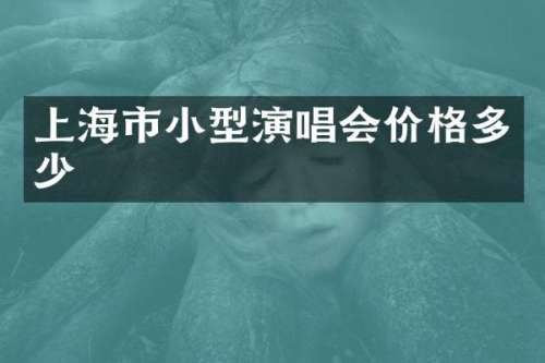 上海市小型演唱会价格多少