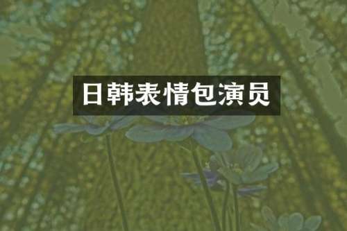 日韩表情包演员