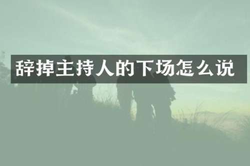 辞掉主持人的下场怎么说