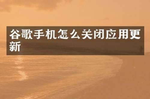 谷歌手机怎么关闭应用更新