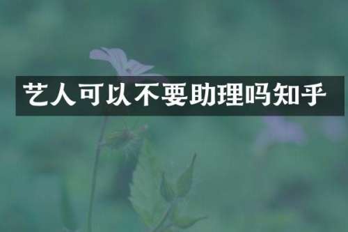 艺人可以不要助理吗知乎