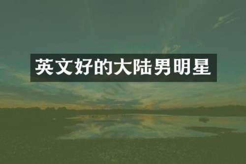 英文好的大陆男明星